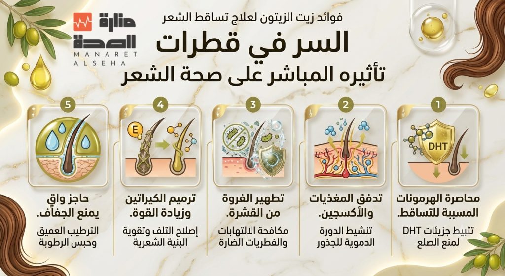 إنفوجرافيك من منصة منارة الصحة يشرح 5 فوائد أساسية لاستخدام زيت الزيتون من أجل علاج تساقط الشعر في المنزل، بدءاً من تثبيط هرمون DHT المسبب للصلع وحتى الترطيب العميق للفروة.